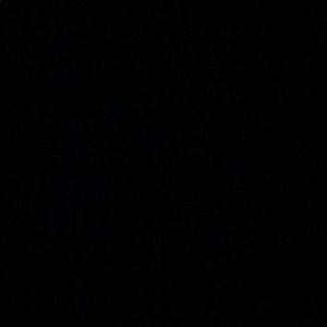 Meet your Posher, Tony